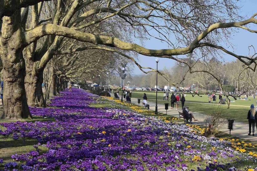 Agri-tourism , Jezierzyce - Type C - foto 21