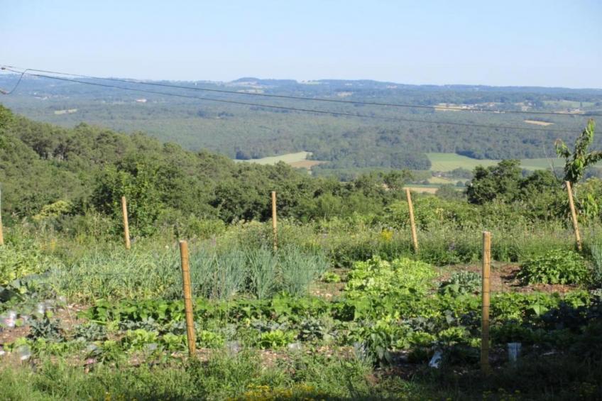 Le Bolet - foto 29