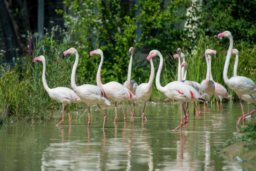 Ferienhaus Kronenburger See - foto 29