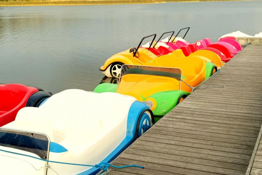 "Paradise Star Bobolin" - foto 31