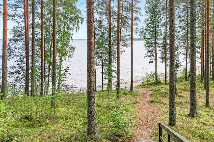 Mäkrä 3 - foto 23
