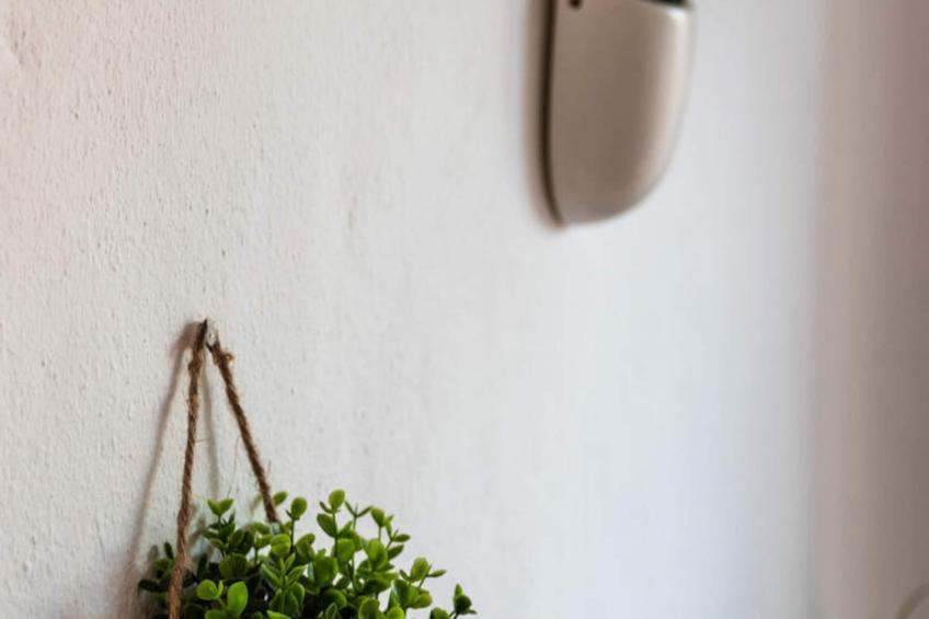 Appartements à Son Parc - foto 30