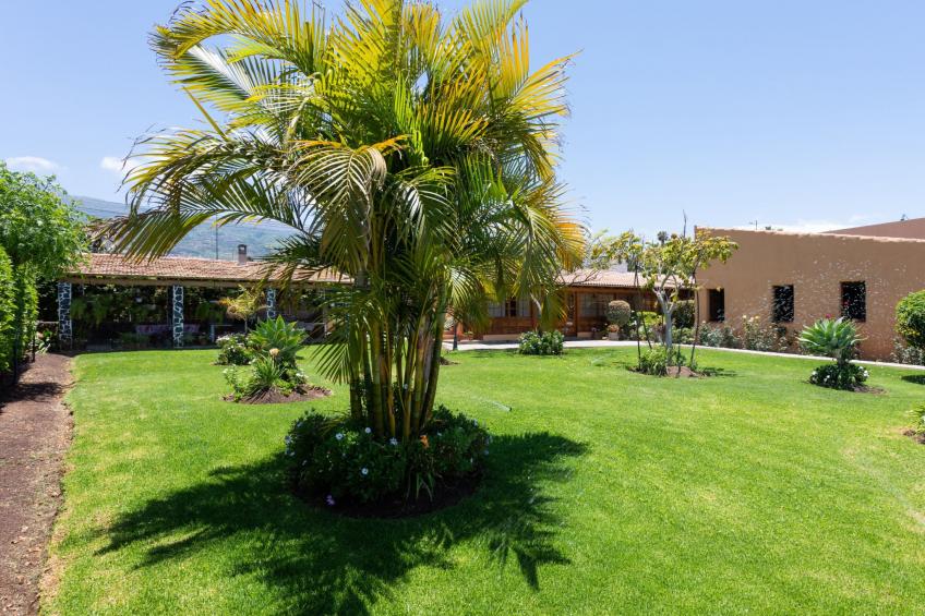 Finca Paraiso - foto 8