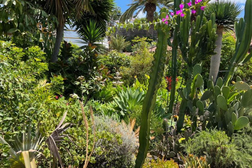 Casa Jardín Tropical - foto 23