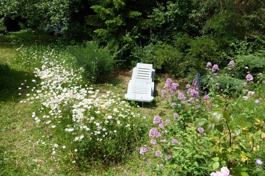 Dupleix dans un jardin bucolique à Saint Briac sur Mer - foto 8