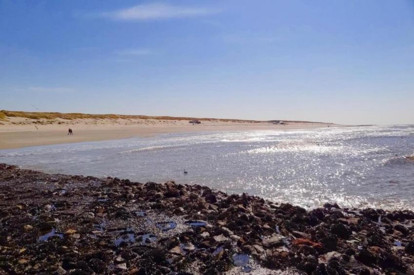 Villapark De Koog 2 - foto 28