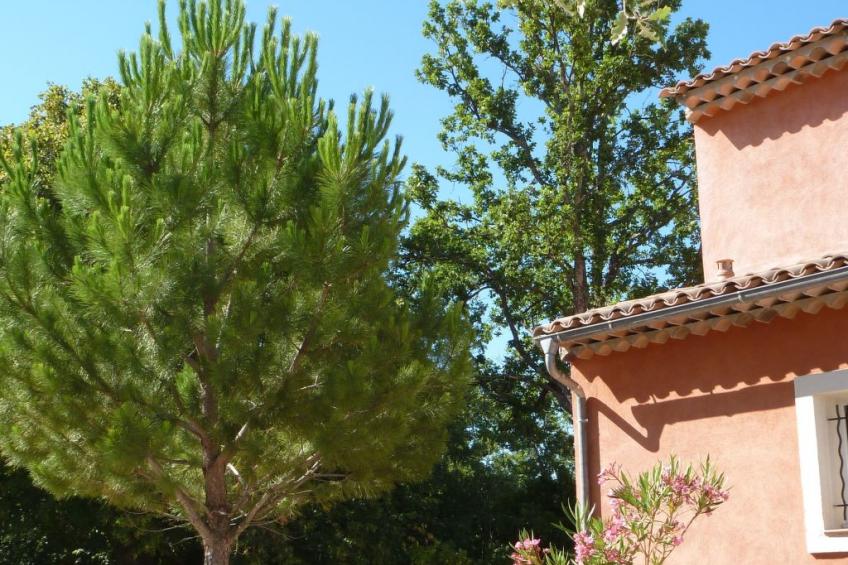 les amandiers - foto 12