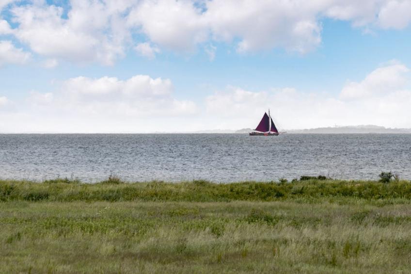 "Alexis" - 250m from the sea in SE Jutland - foto 39