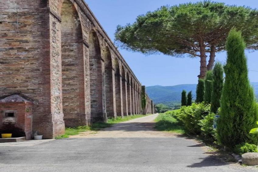 La Principessa - foto 40