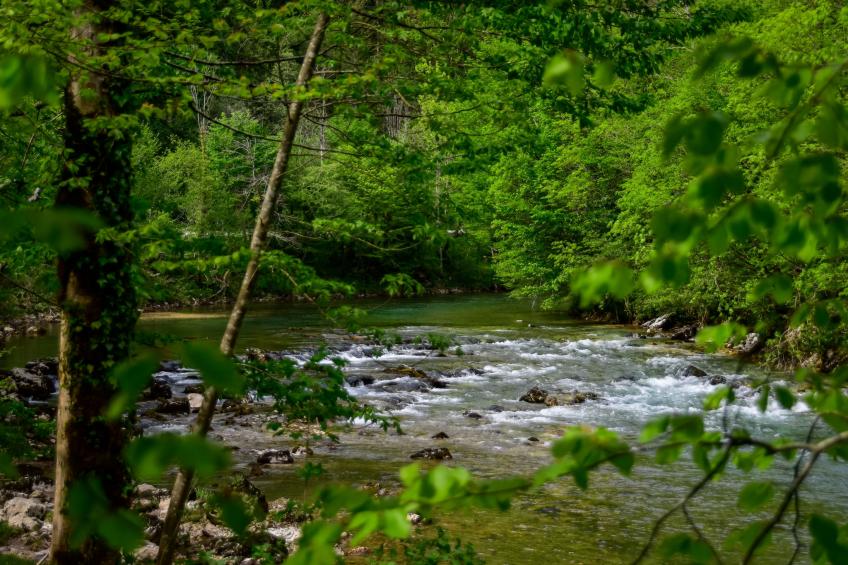 Makov Hrib - foto 22