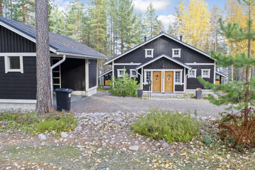 Koli, koliwood a - foto 50