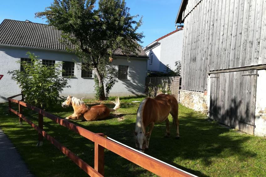 Typ B Studio - foto 13