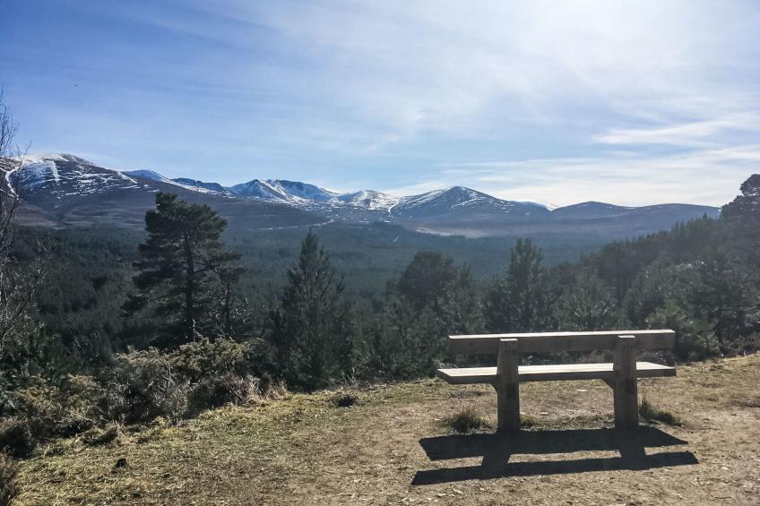 mit Garten im schottischen Hochland - foto 45
