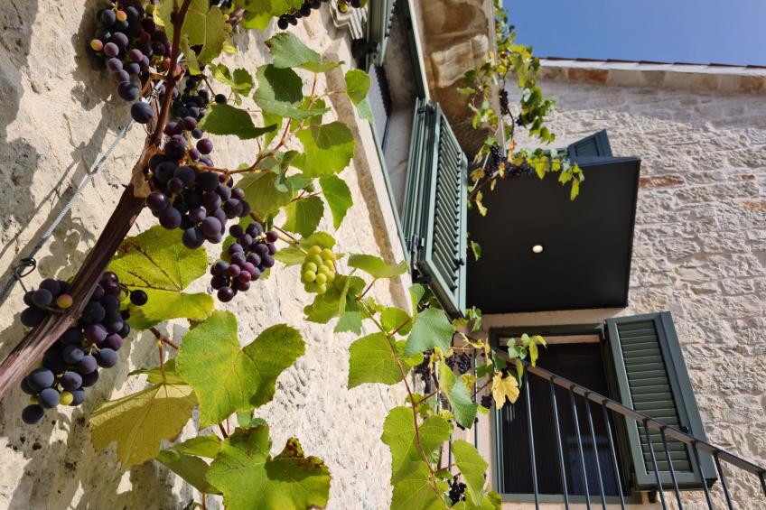 Villa Qualia - Gemütliche 4-Schlafzimmer-Villa mit beheiztem Pool - foto 8