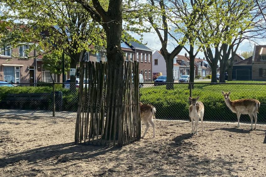 "Buurtweg185" mit Whirlpool - foto 27