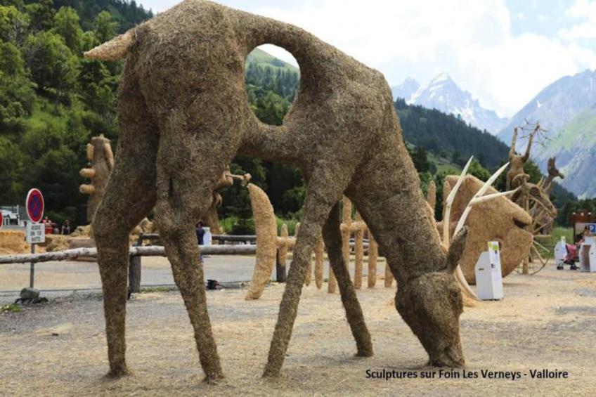 Residence Le Thymel - foto 6