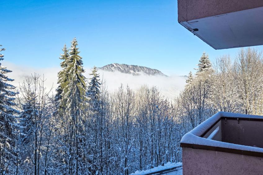 Résidence des Montagnes - foto 26