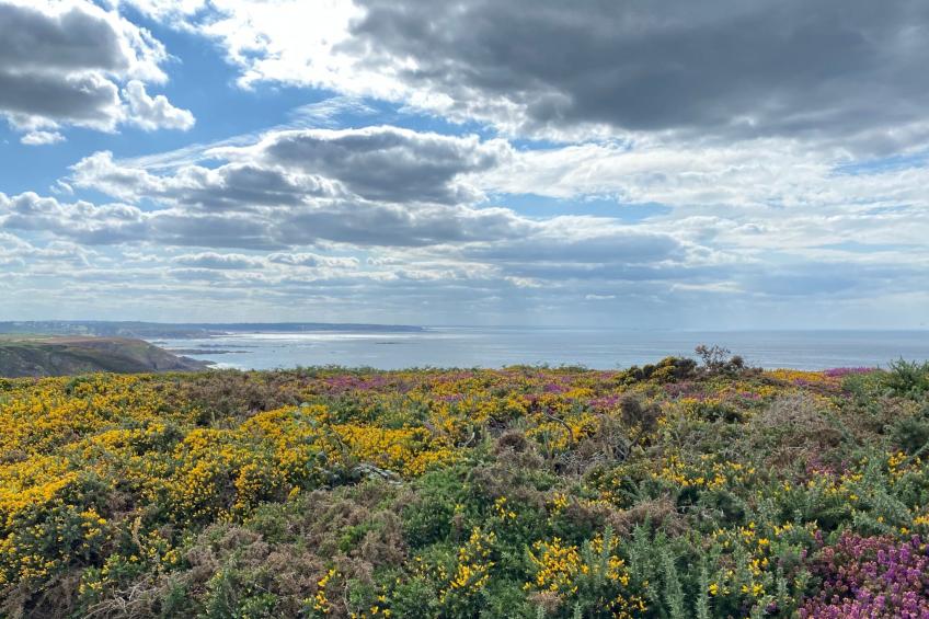 Haus mit grossem Garten in der Nähe des Cap Fréhel - foto 10