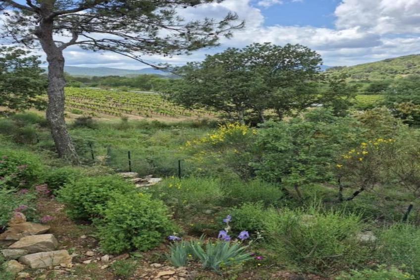 Villa Freesia villa 4 pieces - foto 40