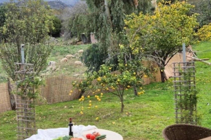 Neue Villa Myre 3, Privater Pool und 3 Wohnungen - foto 20
