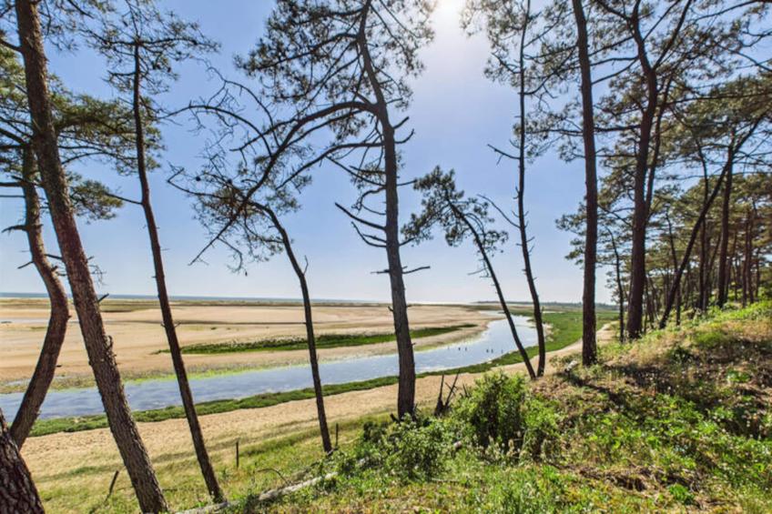 Maison à L'Aiguillon la Presqu'ile - foto 22