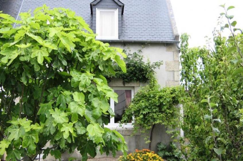 Résidence D09-tregastel - foto 12