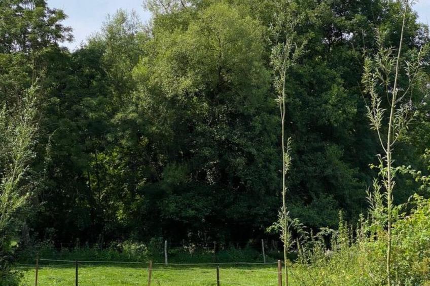 The Water Mill of Tourteron - foto 39