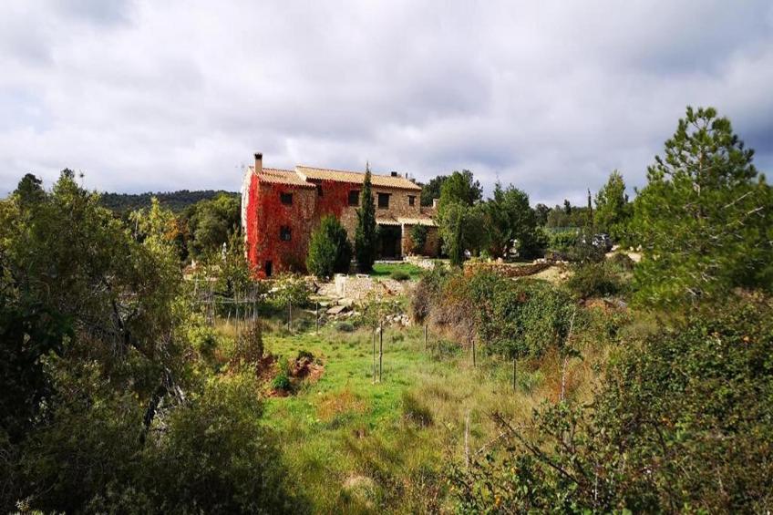 Mas de l'Arlequi - foto 32