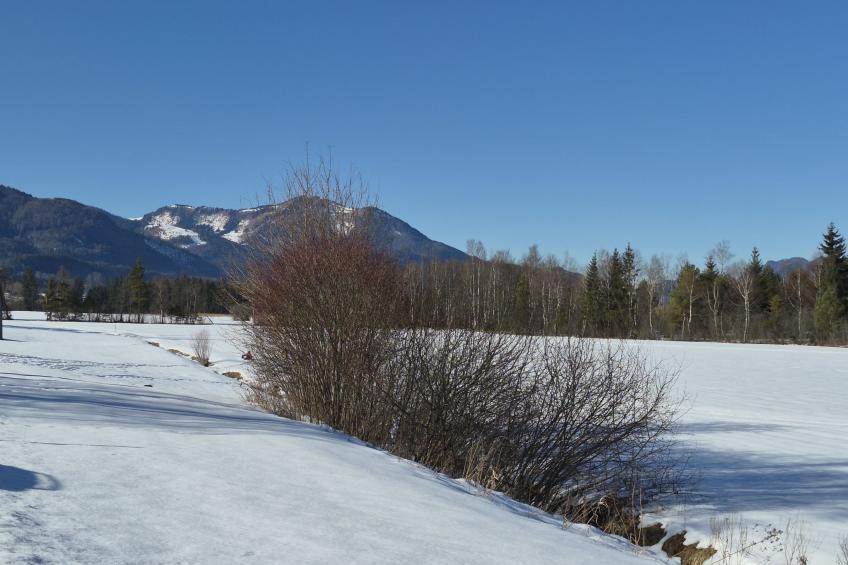 Wohnung 413 Bergblick - foto 50