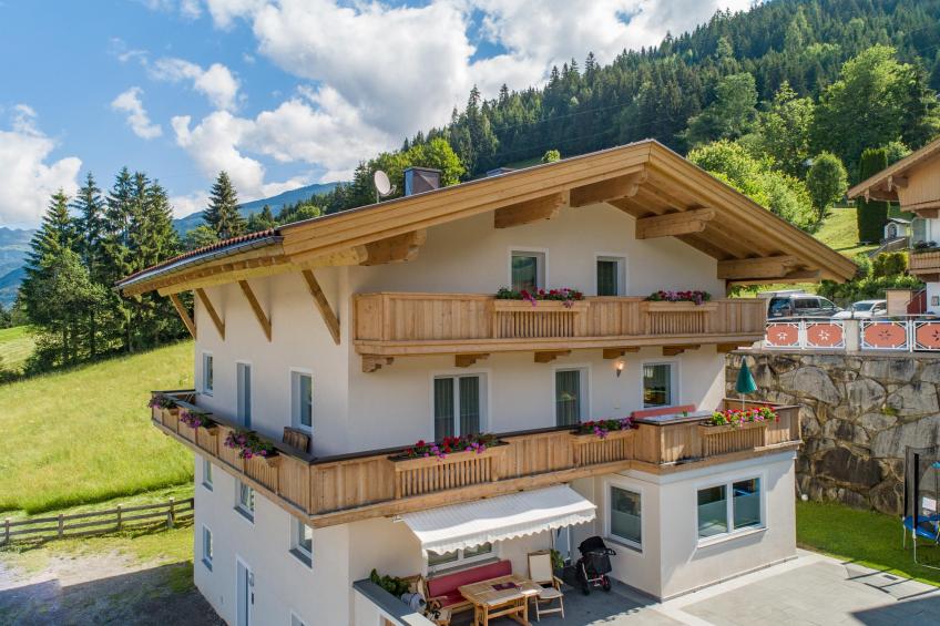 Obersteiner 1