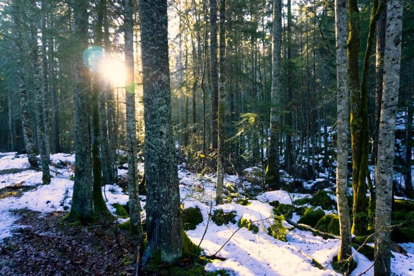 Villa Linda Bilo (1-4 Pax) - foto 19