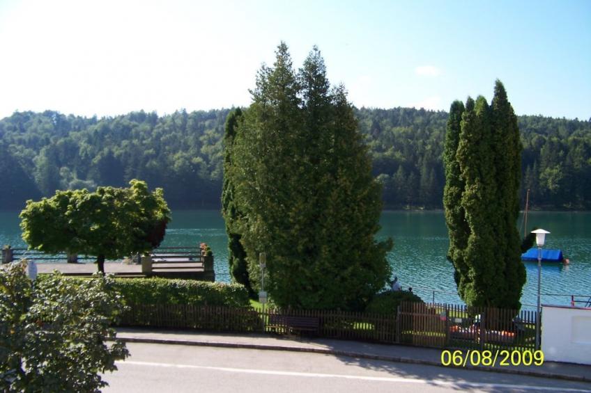 178217 - foto 2