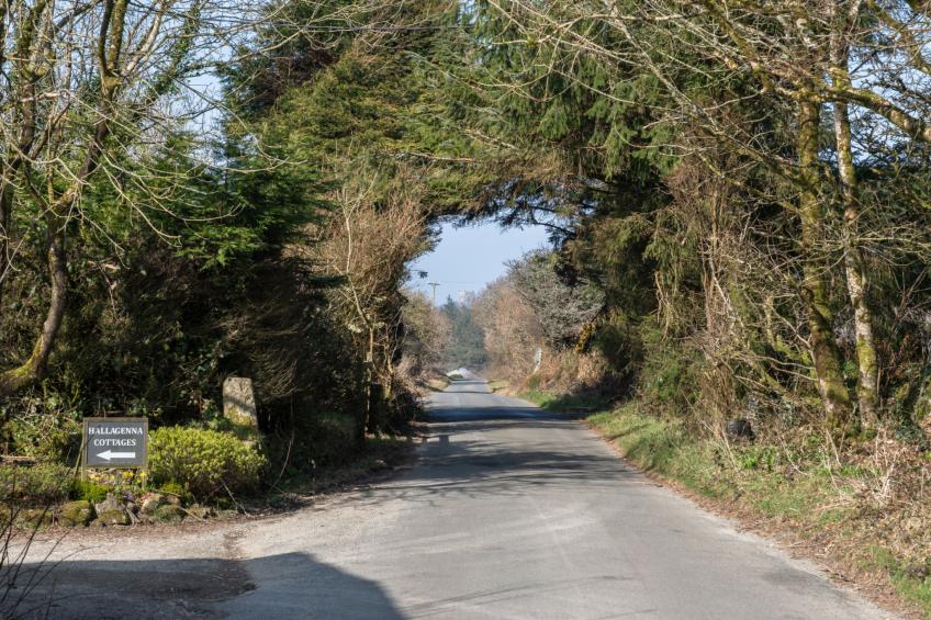 Trippet Cottage at Bodmin Moor - foto 4