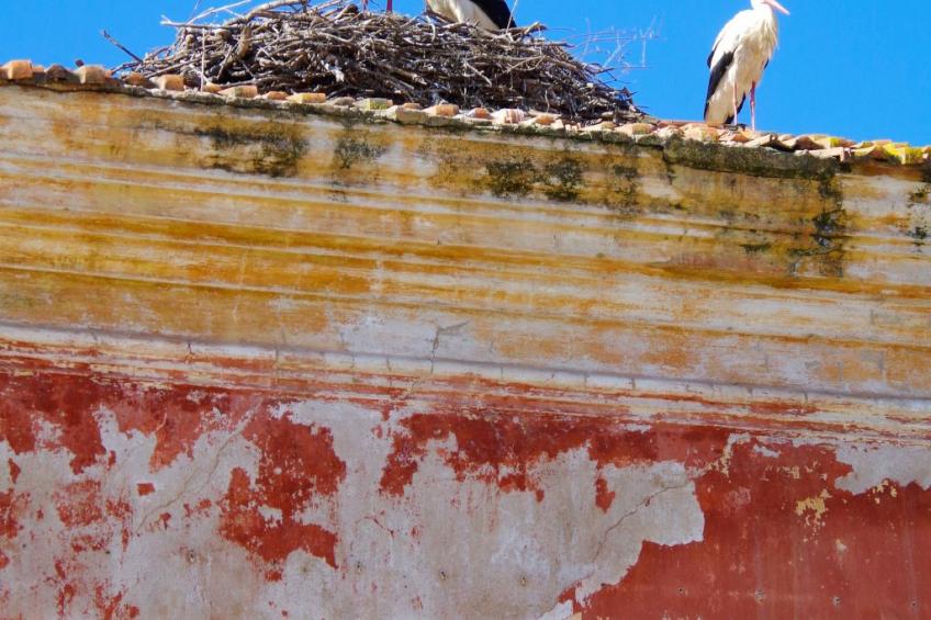 Casa Margarida Azul - foto 19