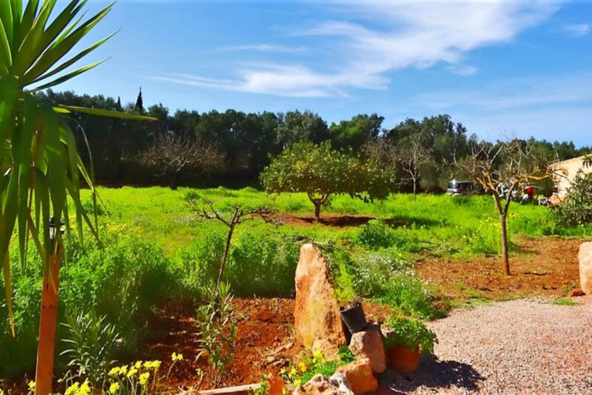 Maison à Llucmajor - foto 6