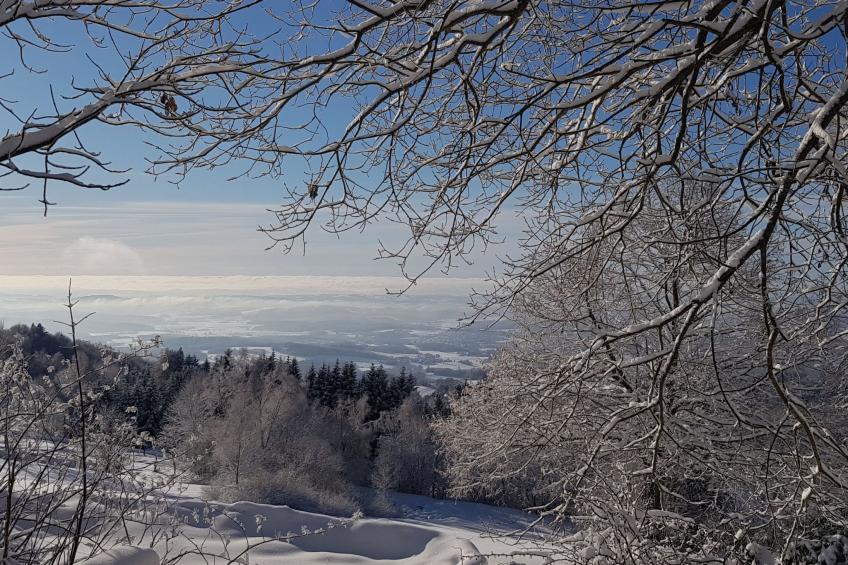 Charmante Wohnung in Langfurth mit Kleinem Balkon - foto 13
