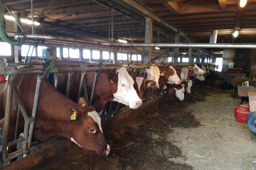 Fewo Wychelboden - foto 16