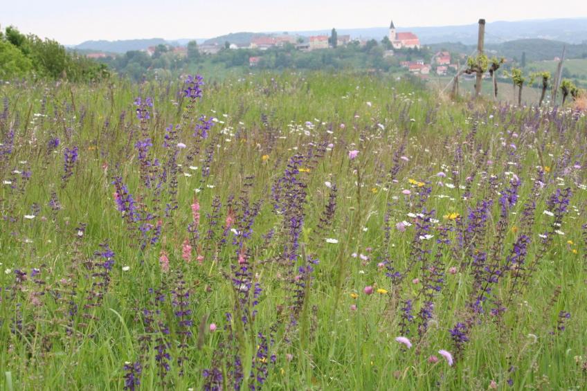 Rebenchalet - foto 12