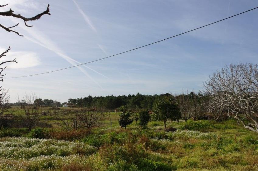 Schönes Landhaus mit Tauchbecken, Strand 3km - foto 23