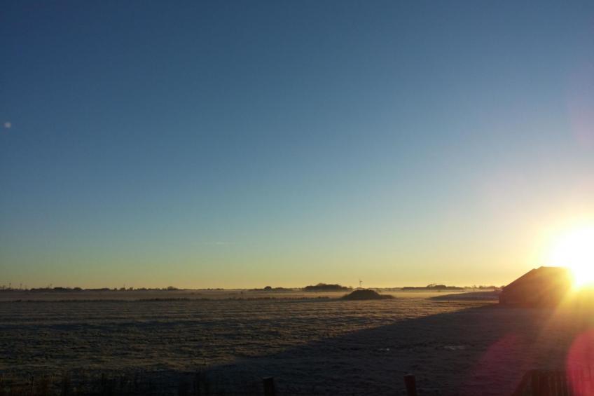 Nice Holidays - foto 15