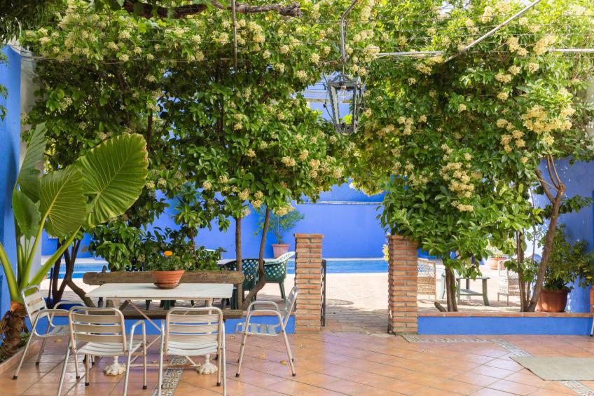 Finca 'La Casa de Illora - foto 26