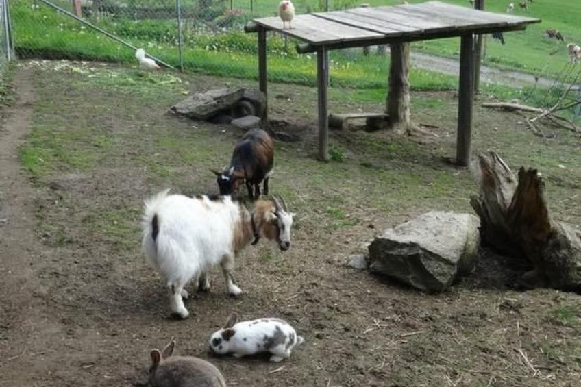 Hof Schürweid - foto 9