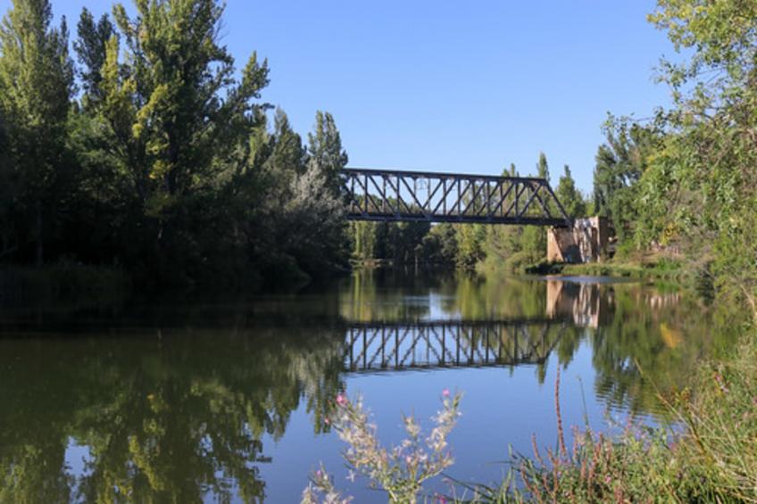 Résidence Le Royal - foto 24