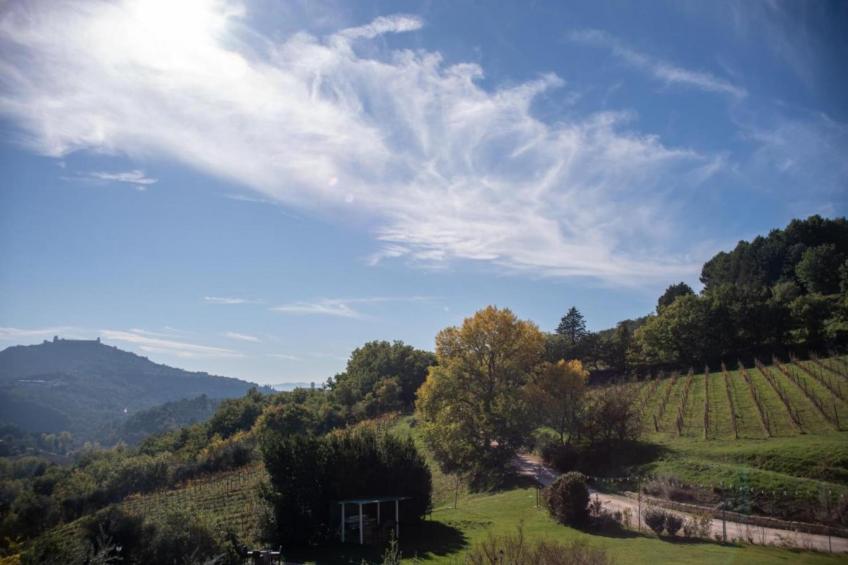 Il Mandorlo - foto 39