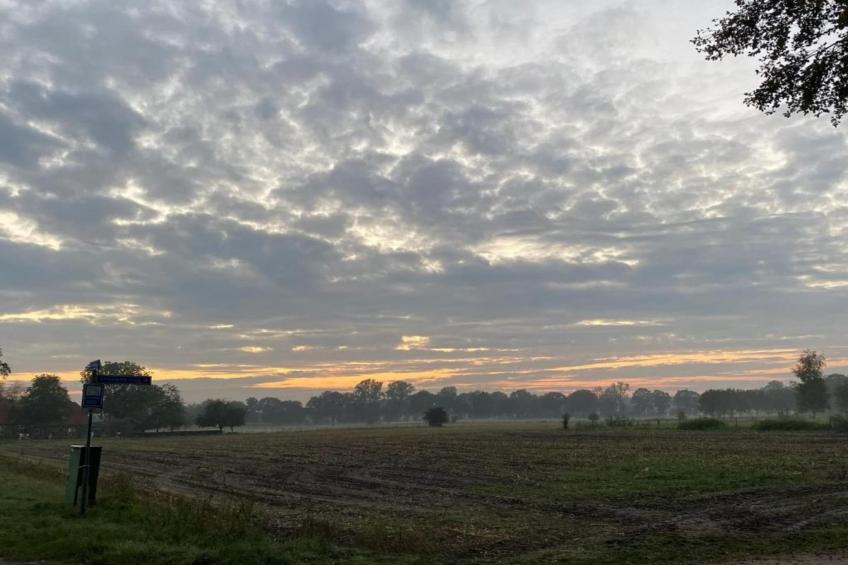 Vakantiepark De Lochemse Berg 2 - foto 24