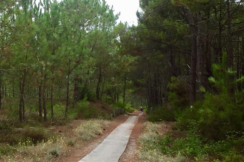 Clos les Pins - foto 29