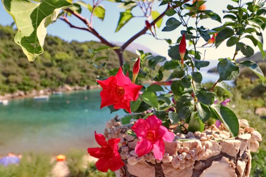 Apartments Villa Cebalo Korčula - Superior Three Bedroom Apartment with Terrace and Sea View  MARKO - foto 13