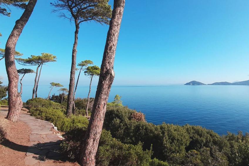 Villa Garibaldino - foto 33