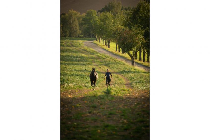 TH1 4P+20€(5) Immer - foto 19