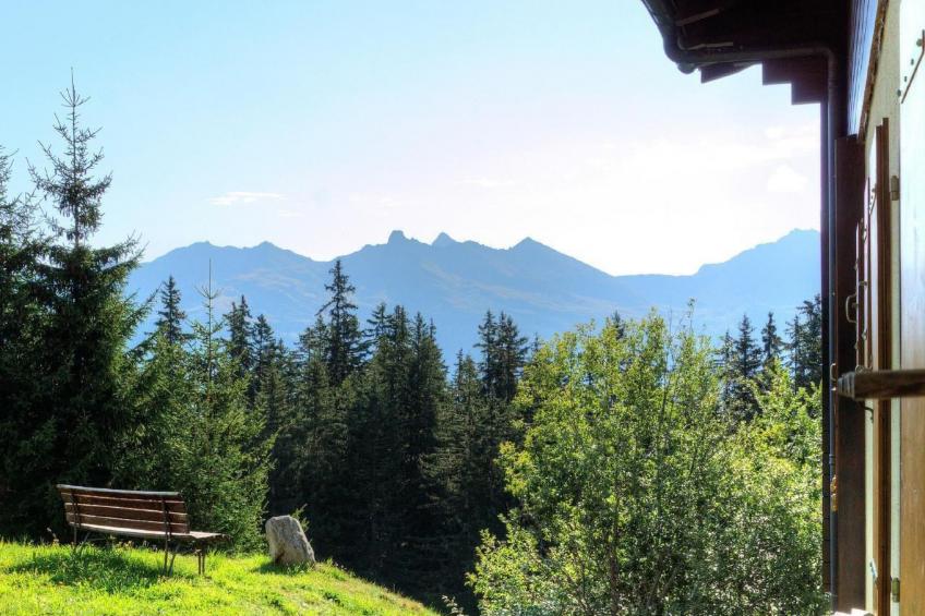 Chalet Altitude 1900 - foto 17